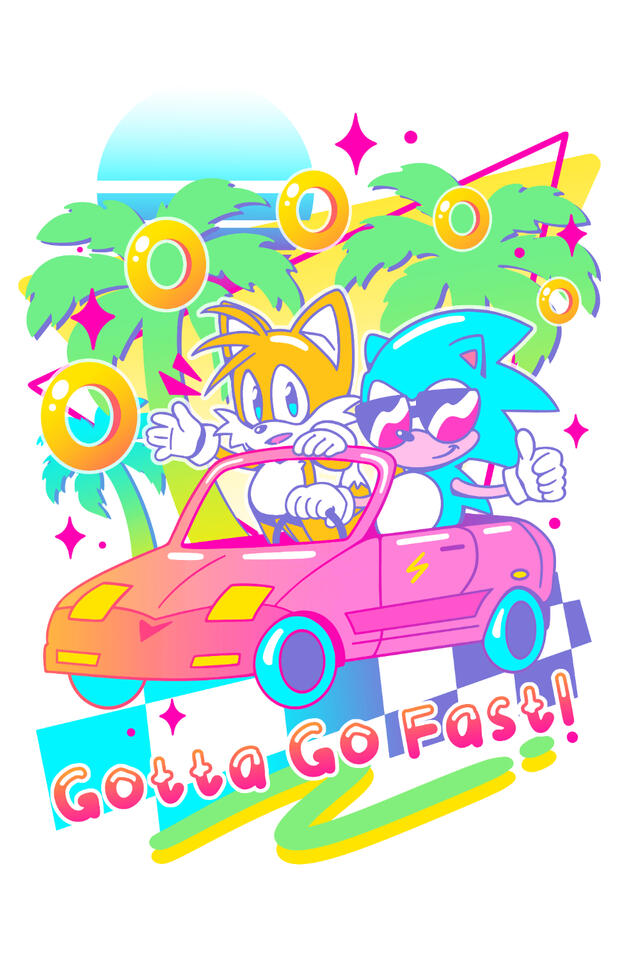 Print — Sonic the Hedgehog Print — Sonic the Hedgehog